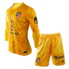 Atlético Madrid Fotbollströjor Målvakt Barn Tredje tröja 2024-25 Långärmad